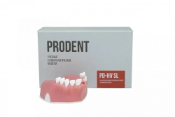 Upper Jaw Dental Model for Implantology Training and Sinus Lifting PD-HV SL