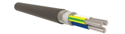 PVC Insulated Power Cable up to 1kV AVBShvng(A)