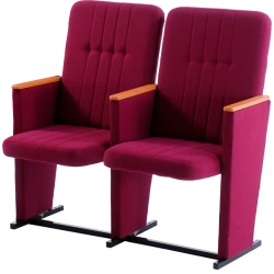 Comfortable Theatre Chair for Audience Seating