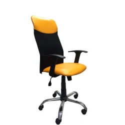 Stylish and Functional Sam Chair