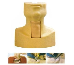 Tracheotomy and Cricothyrotomy Simulator FA5058/58