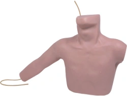 Central Venous Catheterization Training Model CS6040/L67A