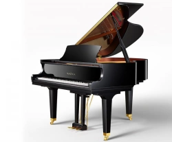 Professional Acoustic Grand Piano Chaika 160