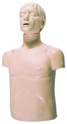 CPR Training Torso Manikin for CPR Instruction, Model CPR169/CPR1690