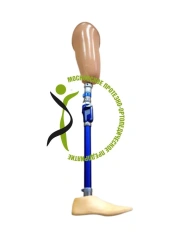 Bathing Hip Prosthesis PN6-M-K