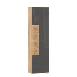 Fiji LD.659300.000 M Single Door Wardrobe (Golden Oak/Anthracite)