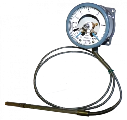 Digital Thermometers TM2030Cg for Continuous Temperature Measurement