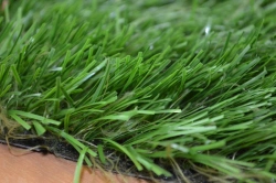 Artificial Grass Covering Optigrass C-Classic 65 MF