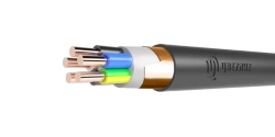 Shielded Power Cable with PVC Insulation 1kV AVVG 2x35