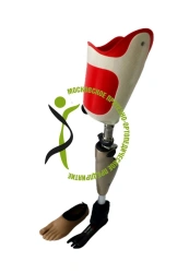 Modular Hip Prosthesis with Microprocessor Control PN6-73MU