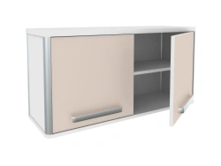 Wall-Mounted Medical Cabinet SHM-2 for Clinical Diagnostics