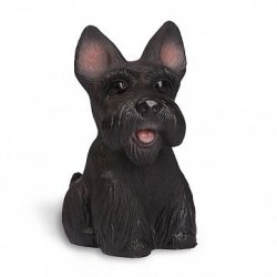 Cute Chap Dog - Miniature Toy Scottish Terrier