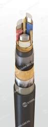 Power Cable with Aluminum Conductors, 1kV, ASBShng Model