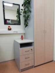 Mobile Cabinet with Locking Mechanism - Custom Design