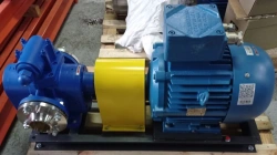 CMG-SH10 15/200K05 Rotary Positive Displacement Pump