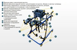 Multi-functional Children's Walkers for Limited Mobility - "I Step