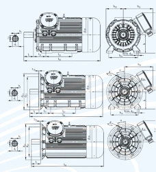 DA 280 Series Industrial Three-Phase Induction Motors (37-75 kW)