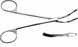 Randall Stone Removal Forceps - Model 31-111-19 #6
