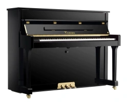 Sonata Piano for Music Schools and Creative Centers