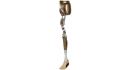 Modular Microprocessor-Controlled Hip Disarticulation Prosthesis, PN8-OB-E