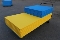 Tatami Mats for Judo - High-Quality Training Surface