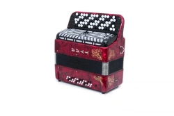 Two-Voice Children's Bayan "Tula" 77/46×37-II