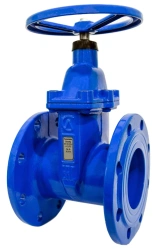 Cast Iron Gate Valve with Rubber-Coated Wedge 30ч39р SLG13