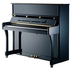 Nikolai Rubinstein Piano - Educational Model