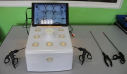 Interactive Laparoscopic Training Simulator for Surgical Skills - ROST-LAP
