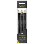 Assorted Graphite Pencils Set "VKF" Project 6P-4010