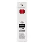 Graphite Pencils "Leo" "Learn" LNNBP HB with Eraser, 12 pcs