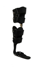 Ankle and Knee Joint Rehabilitation Device