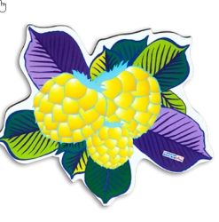 Golden Fruit Interactive Play Guide for Kids