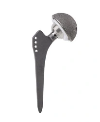 Cementless Hip Joint Prosthesis with Metal-Polyethylene Friction Pair