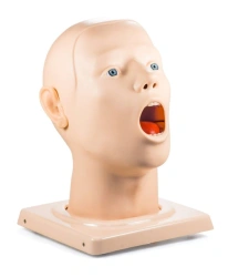 Human Head Phantom ZIK-14 for Medical Training