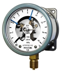 Signal Pressure Gauge DM2010SG for Non-Aggressive Media