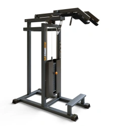 Standing Calf Raise Machine BF-119