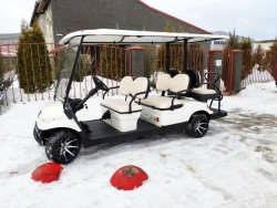 Concordia GK4+2 Electric Passenger Vehicle