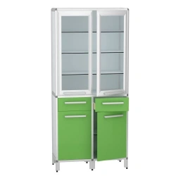 Medical Instrument Cabinet with Aluminum Frame, Model DM-1-101-17.K2.F1