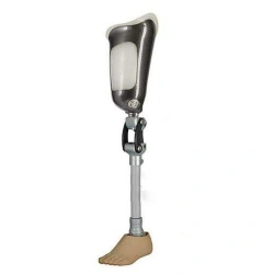Modular Hip Prosthesis for Rehabilitation, Model PN6-77