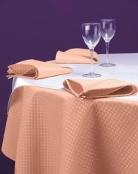 Table Linen Decorative Table Cover (Napkin)
