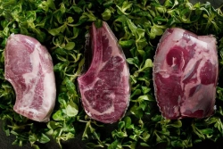 Multi-layer Packaging Bags for Food Preservation "Amivak