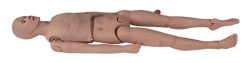 Multifunctional Anatomical Mannequin for Training, Art. NS1037