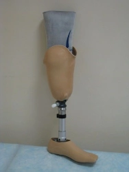 Modular Bathing Prosthesis for Lower Leg