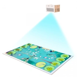 Interactive Floor System 3000 - High-Resolution Projection