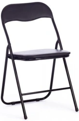 Modern Metal Frame Chair with Soft Seat