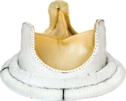 Biological Heart Valve Prosthesis "MEDINJ-BIO" (Aortic)