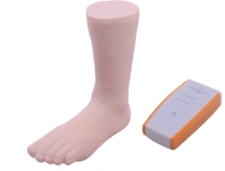 Anatomical Foot and Ankle Joint Injection Trainer L74