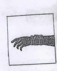 Wrist Joint Brace BN6-58