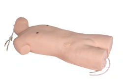 Central Venous Puncture Training Model CS6240
